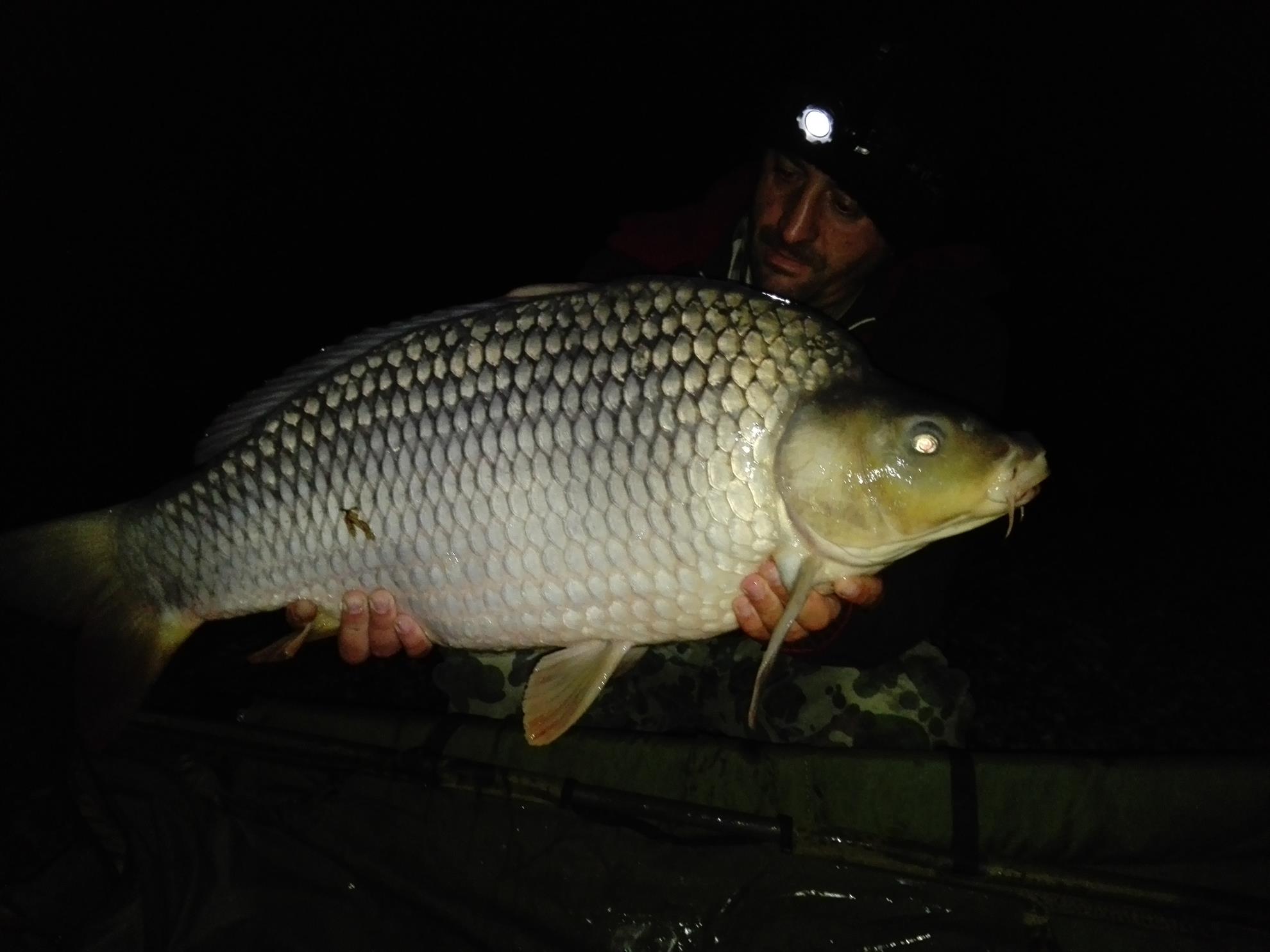 1-5 Octombrie Cetariu - img20161005060206.jpg